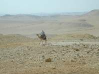 Ein Touristenjger auf Lauer