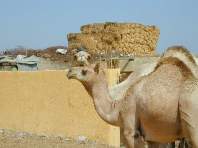 Was guckst Du?!?!?!?!