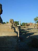 Sphingenalee beim Luxor-Tempel