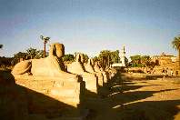 Sphingenalee beim Luxor-Tempel